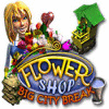 Flower Shop: Big City Break juego