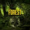 The Forest juego