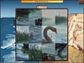 Screenshot descargo de World Riddles: Animals 3