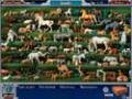 Free download Can You See What I See screenshot