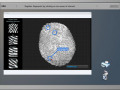 Free download Casebook screenshot
