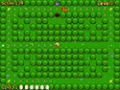 Free download Chick Chick Chicky screenshot