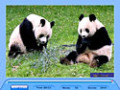 Screenshot descargo de Jig Swap Puzzle 1