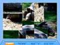 Screenshot descargo de Jig Swap Puzzle 2