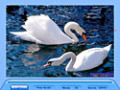 Screenshot descargo de Jig Swap Puzzle 3