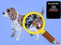 Free download Pequeñas Cosas screenshot