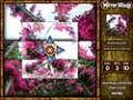Free download Mirror Mix-Up screenshot