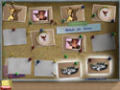 Free download Miss Teri Tale screenshot