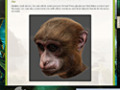 Screenshot descargo de Return to Mysterious Island 2: Mina's Fate Strategy Guide 2