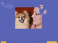 Screenshot descargo de Super Jigsaw Puppies 1
