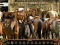 Free download Wild West Quest screenshot