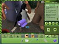 Free download Zoo Vet screenshot