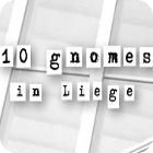 10 Gnomes in Liege juego