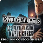 Enigmatis: Los fantasmas de Maple Creek Edición Coleccionista juego