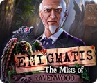 Enigmatis: The Mists of Ravenwood juego