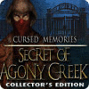 Cursed Memories: El misterio de Agony Creek Edición Coleccionista game