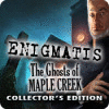 Enigmatis: Los fantasmas de Maple Creek Edición Coleccionista game
