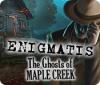 Enigmatis: Los fantasmas de Maple Creek game