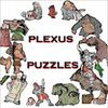 Plexus Puzzles game
