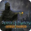 Spirits of Mystery: Amber Maiden Collector's Edition game