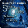 Strange Cases: Los Secretos de Grey Mist Lake Edición Coleccionista game