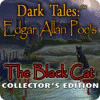 Dark Tales: Edgar Allan Poe's The Black Cat Collector's Edition juego