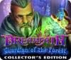 Dreampath: Guardian of the Forest Collector's Edition juego