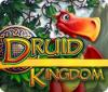 Druid Kingdom juego