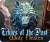Echoes of the Past: Wolf Healer juego
