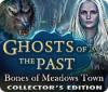 Ghosts of the Past: Bones of Meadows Town Collector's Edition juego