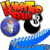 Hamsterball game