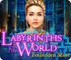 Labyrinths of the World: Forbidden Muse juego