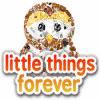 Little Things Forever juego