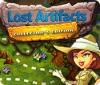 Lost Artifacts Collector's Edition juego