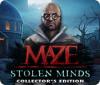 Maze: Stolen Minds Collector's Edition juego