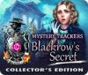 Mystery Trackers: Blackrow's Secret Collector's Edition juego
