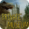 Private Museum juego