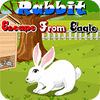 Rabbit Escape From Eagle juego