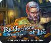 Reflections of Life: Dream Box Collector's Edition juego