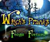 Witch's Pranks: Frog's Fortune juego