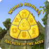 World Riddles: Secrets of the Ages juego