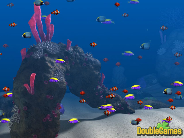 Free Download Big Kahuna Reef Screenshot 2