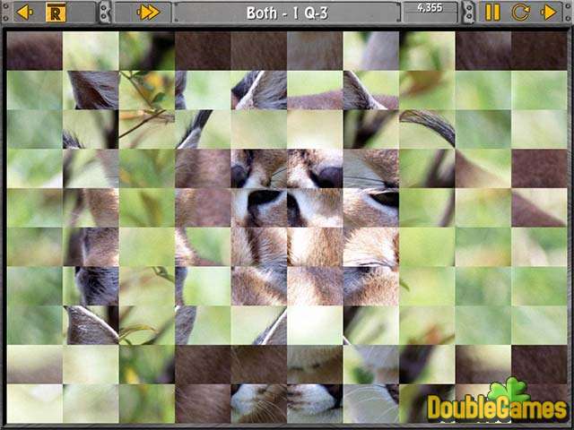 Free Download Sliders and Other Square Jigsaw Puzzles Screenshot 3